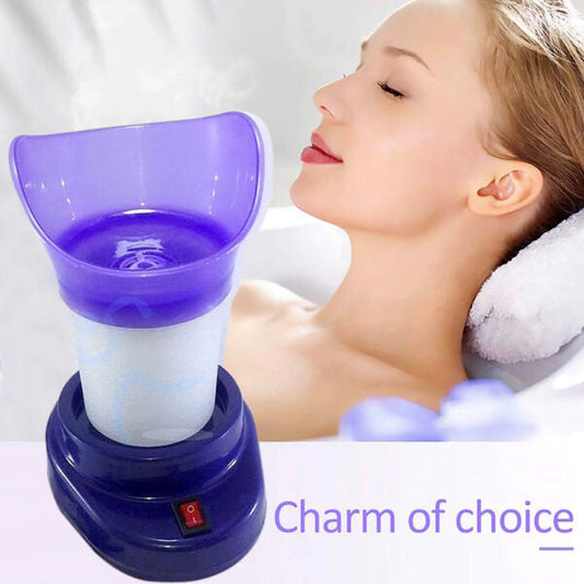 The Steam Facial – Facial Steamer.